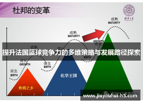 提升法国篮球竞争力的多维策略与发展路径探索